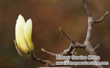 Which Treatment Can Reverse Protein Urine 3+ in Minimal Change Nephropathy