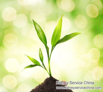Can High Creatinine Level 700 Be Reduced to 300 without Dialysis