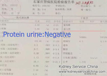 Protein Urine2+ Turned to Negative in NS with Natural Treatment