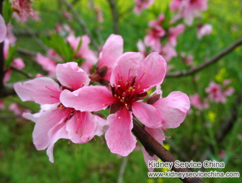 Improving Creatinine Level 5.2 Without Dialysis