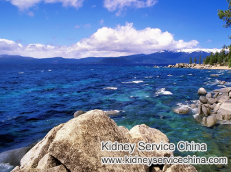 Lower Creatinine Level 9.6 in Renal Failure via Toxin-Removing Therapy