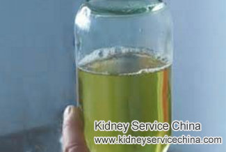 Lower Albuminuria +++ in Hypertensive Nephropathy with Natural Treatment