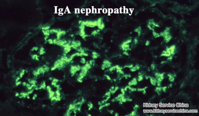 Treating Headache in IgA Nephropathy with Natural Therapy