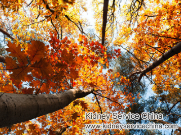 Lower Creatinine Level 6.59 in Nephritic Syndrome