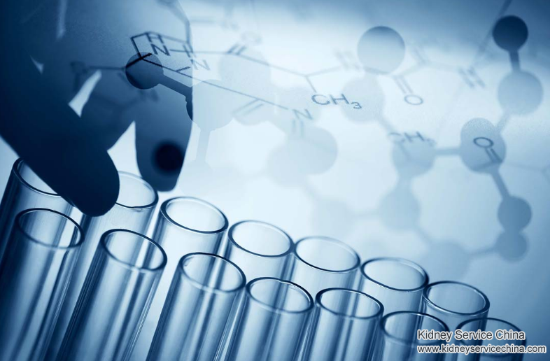 Lupus Nephritis: SLE and It’s Alternatives in Natural Treatment