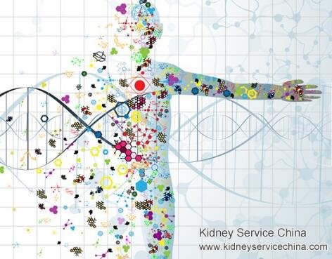 To prevent kidney disease relapse, we have to keep these four points