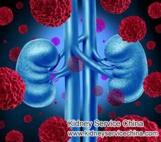 Can Nephrotic Syndrome Be Improved by Toxin-Removing Therapy