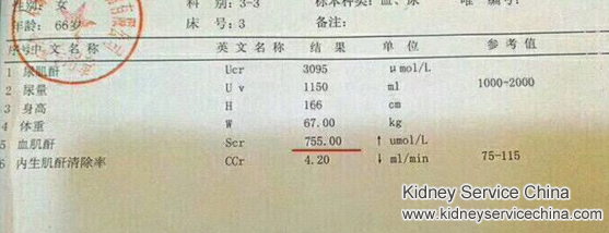 Chinese Medicines Are Effective For Hydronephrosis and Kidney Stones