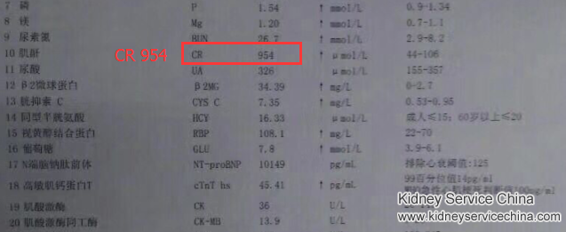  Toxin-Removing Treatment Is For Renal Failure Patients