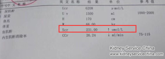How Do Chinese Medicines Treat High Uric Acid and Creatinine Level