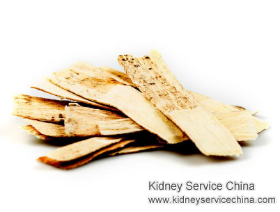 astragalus for kidney disease 